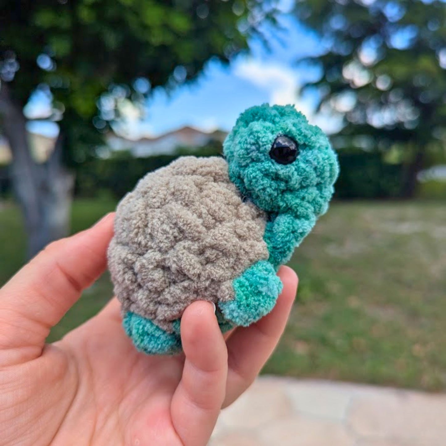 No Fuss Pet | Turtle