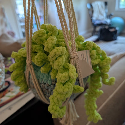 Hanging Plant crochet & friend