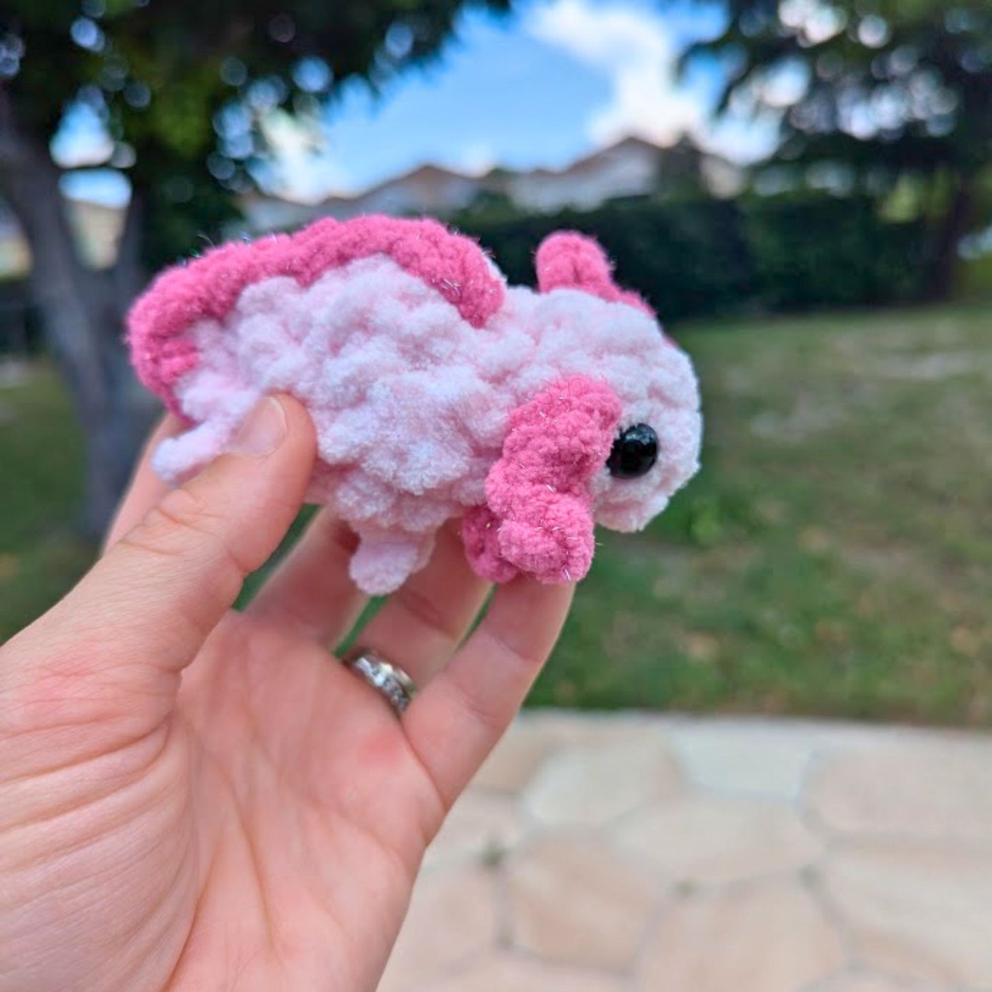 No Fuss Pet | Axolotl